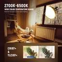 NEEWER CB300B 320W LED Video Light with 2.4G/APP Remote Control 10103256