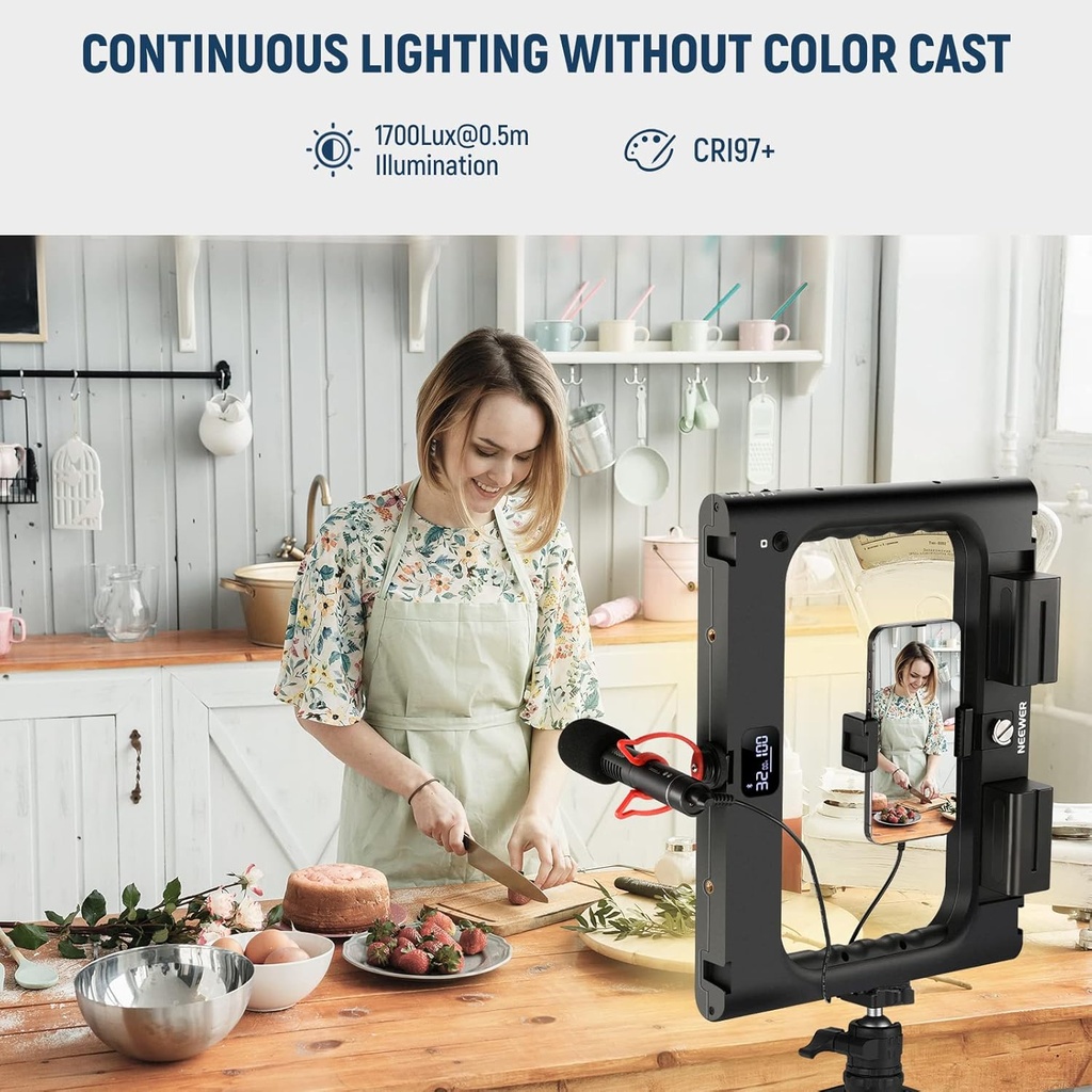 NEEWER A111 II Smartphone Video Rig with Light Kit, Support Vertical Shoot 10102073
